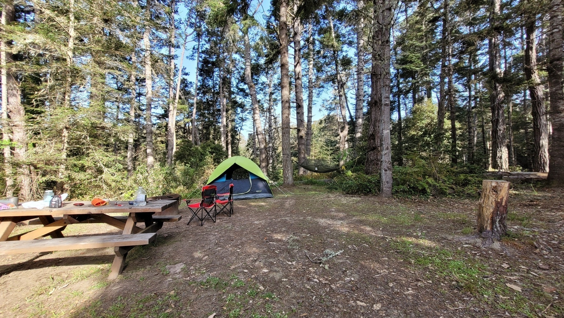 Our Campsite, Van Damme State Park, Fort Bragg, CA
